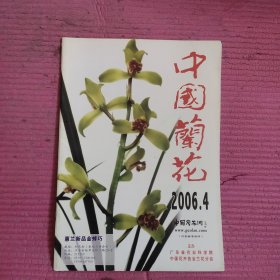 中国兰花 2006.4 【476号】