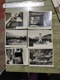 重庆美术公司照片6张合拍