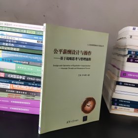 人力资源管理理论与实践丛书·公平薪酬设计与操作：基于战略思考与管理流程