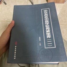 中华名老中医学验传承宝库（二）