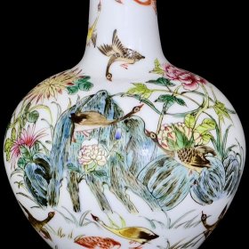 清乾隆珐琅彩花鸟纹天球瓶 古玩古董古瓷器老货收藏