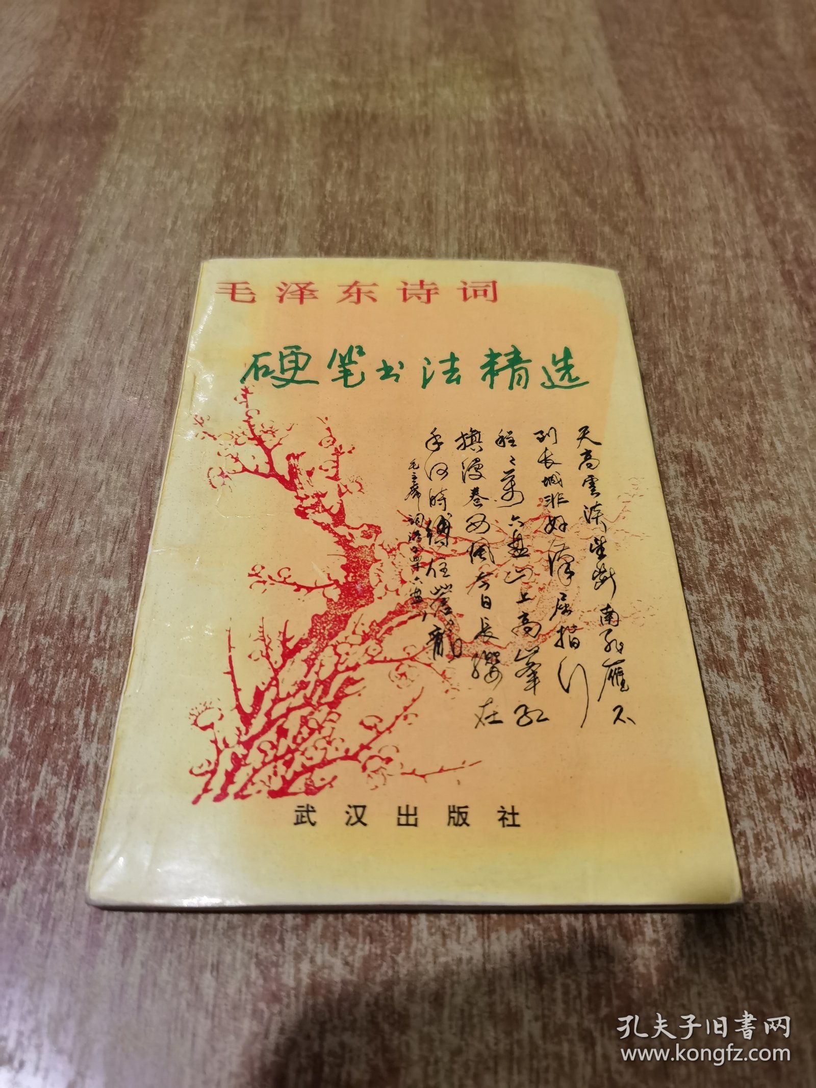 毛泽东诗词硬笔书法精选（1版1印）