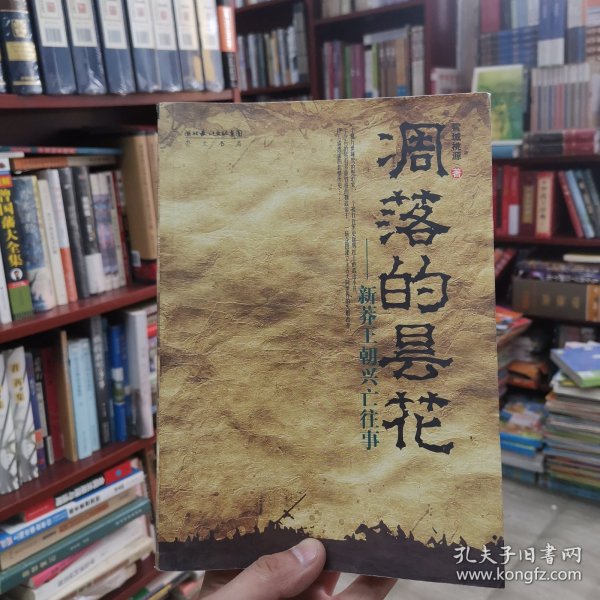 凋落的昙花:新莽王朝兴亡往事