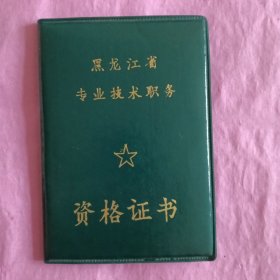 黑龙江省专业技术职务资格证书