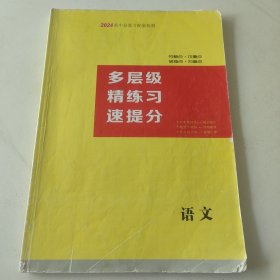 2024高中总复习配套检测语文 多层级精练习速提分
