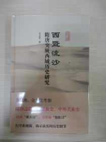 西暨流沙：隋唐突厥、西域历史研究