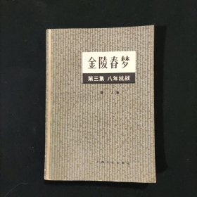 金陵春梦 第三集
