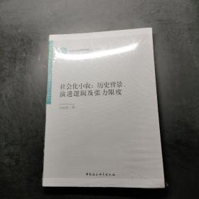 社会化小农:历史背景、演进逻辑及张力限度