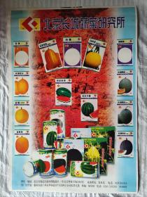 北京市长城蔬菜研究所——九十年代蔬菜种子广告，2开