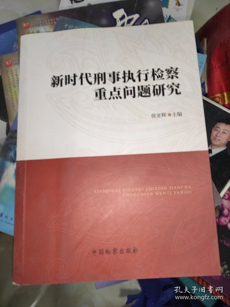 新时代刑事执行检察重点问题研究