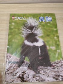 小聪仔科普臭鼬