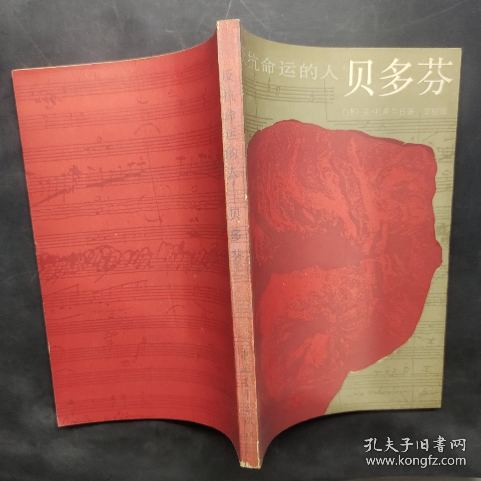 反抗命运的人 : 贝多芬