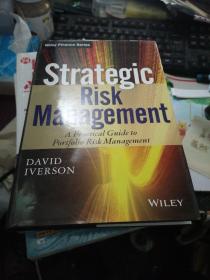 Strategic Risk Management: A Practical Guide to Portfolio Risk Management (Wiley Finance)