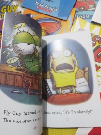Fly Guy And Buzz苍蝇小子分级读物15册 全彩英语初级章节桥梁书 儿童趣味读物 中小学生课外阅读 Tedd Arnold 英文原版