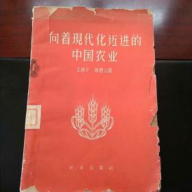 望着现代化迈进的中国农业