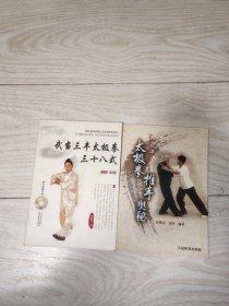 武當三豐太極拳三十八式十太極拳推手奧秘2冊合售