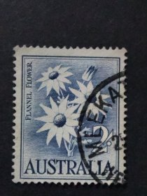 澳大利亚邮票 1959年花卉 1枚销