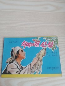 朝鲜原版连环画-铁鹰挖的野山参 쇠메가캔산삼 (朝鲜文）