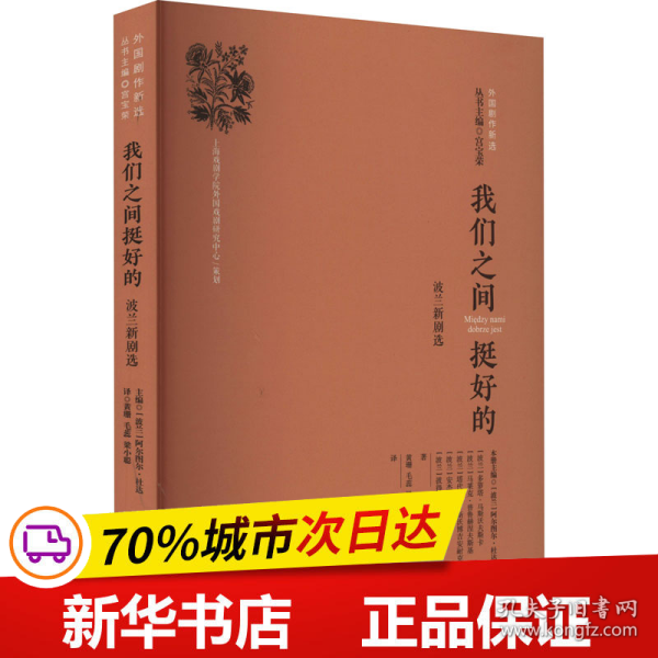 我们之间挺好的：波兰新剧选