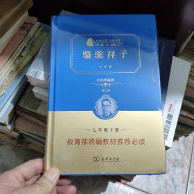 经典名著 大家名作：骆驼祥子（价值典藏版）