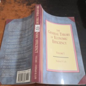 THE GENERAL THEORY OF ECONOMIC EFFICIENCY （VOLUME 1）