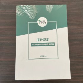 探针资本 2020行业研究报告合集选编