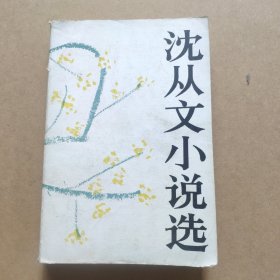 沈从文小说选