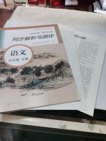 2023人教金学典同步练习册同步解析与测评语文九年级下册有试卷答案