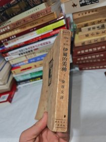 伊尔的美神