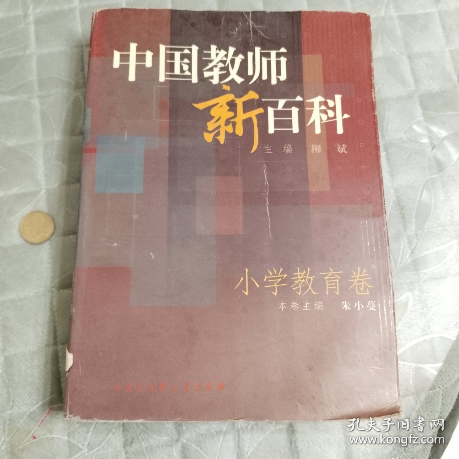 中国教师新百科(小学教育卷)