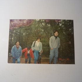 老照片-90年代中南工业大学五名同学爬岳麓山留影（1996年）