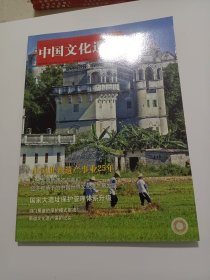 《中国文化遗产》杂志:国家考古遗址公园，剑门蜀道的保护模式审视，蜀道文化遗产保护纪实，李家大院——深沟里的晋商大院，芭沟古镇——大山里的近现代进程，……