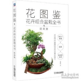 花图鉴：花卉组合盆栽全书（提高篇）