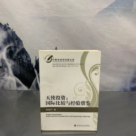 中青年經(jīng)濟(jì)學(xué)家文庫·天使投資：國際比較與經(jīng)驗借鑒