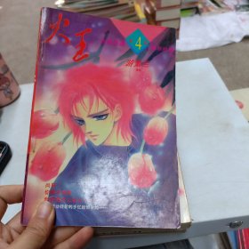 精致漫画系列 火王 第4卷