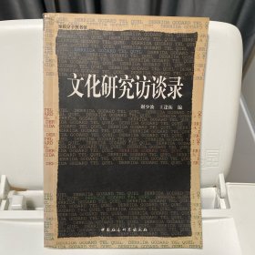 文化研究访谈录