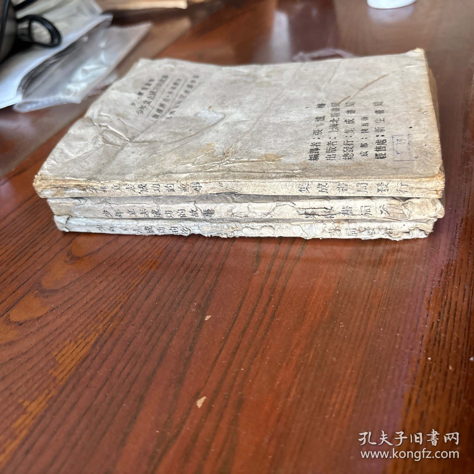 少年立志成功的故事