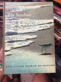 THE LIFE OF The Seashore