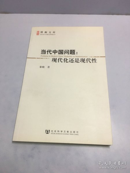 当代中国问题：现代化还是现代性