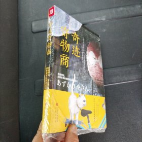 治愈系小说：奇迹寄物商