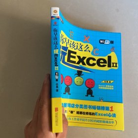 你早该这么玩Excel II （WiFi版）