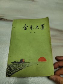 金光大道，实物拍照，一版一印，书内有插图