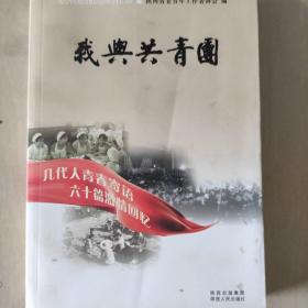 我与共青团