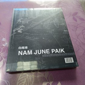 白南准