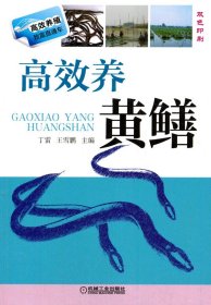 正版现货高效养黄鳝丁雷9787111434481新华仓库多仓直发