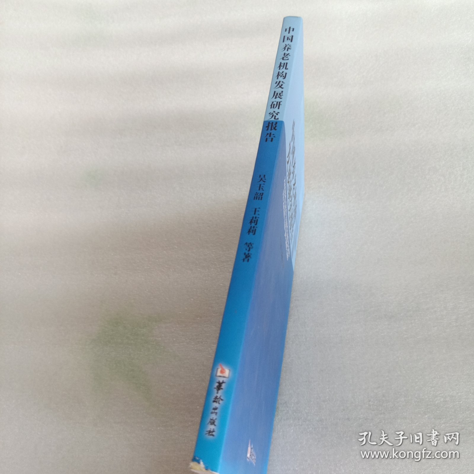 中国养老机构发展研究报告