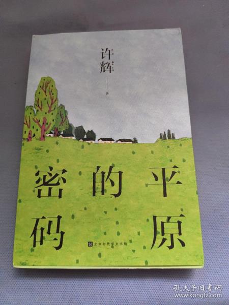 平原的密码（散文家许辉先生作品，对平原有着不同寻常的理解，对平原的社会和人群有着深入的思考）