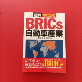 BRICS 自动车产业  日文原版