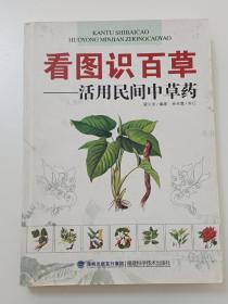 看图识百草：活用民间中草药