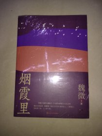 烟霞里（鲁迅文学奖魏微全新长篇小说，抒写一个时代下女主繁茂又寂静的匆匆一生）